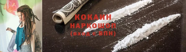 мяу мяу мука Новозыбков