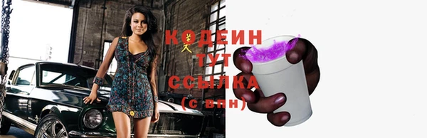 индика Осташков