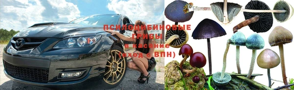 скорость Няндома