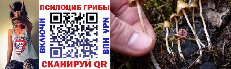 Галлюциногенные грибы MAGIC MUSHROOMS  Нововоронеж 