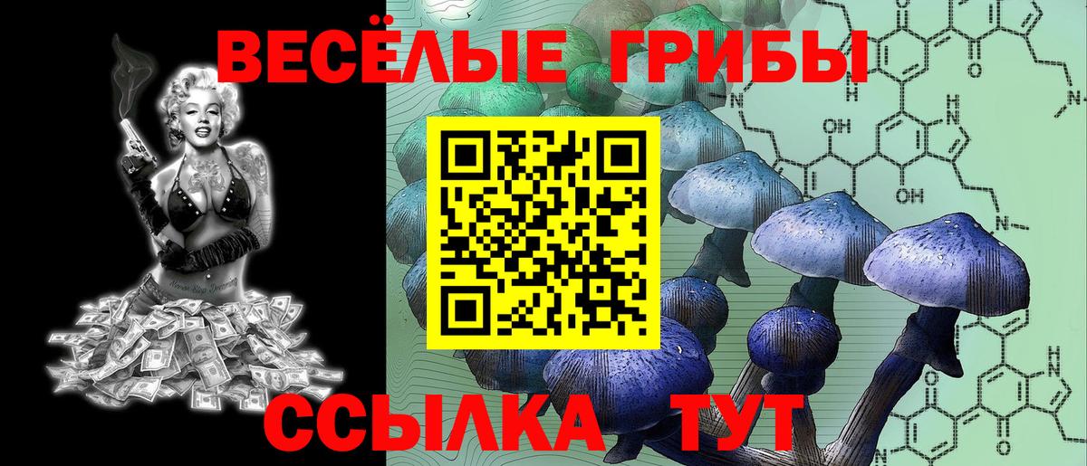 Псилоцибиновые грибы прущие грибы Нововоронеж