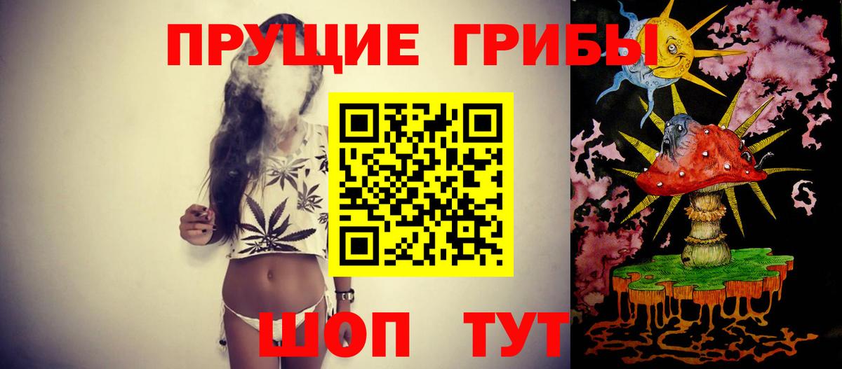 Нововоронеж  Галлюциногенные грибы Magic Shrooms  Вход с VPN 